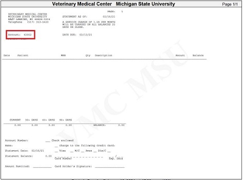 Image of Account Statement